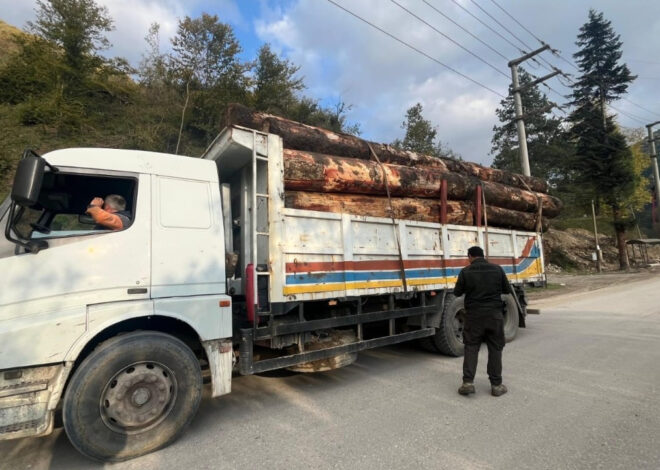 Kaçak odun dolu kamyonlar yakalandı